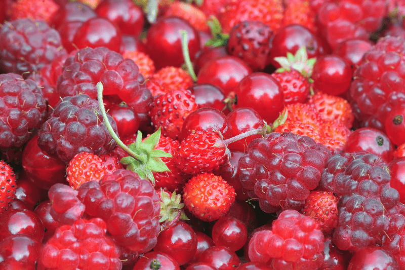 פירות לבריאות - פירות מכילים הרכבים תזונתיים בריאים ומומלצים ביותר היתרונות בפירות שאף אחד לא סיפר לכם